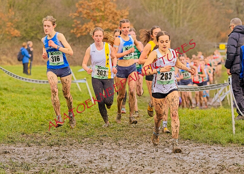 20260207 LONC XC00949A.JPG