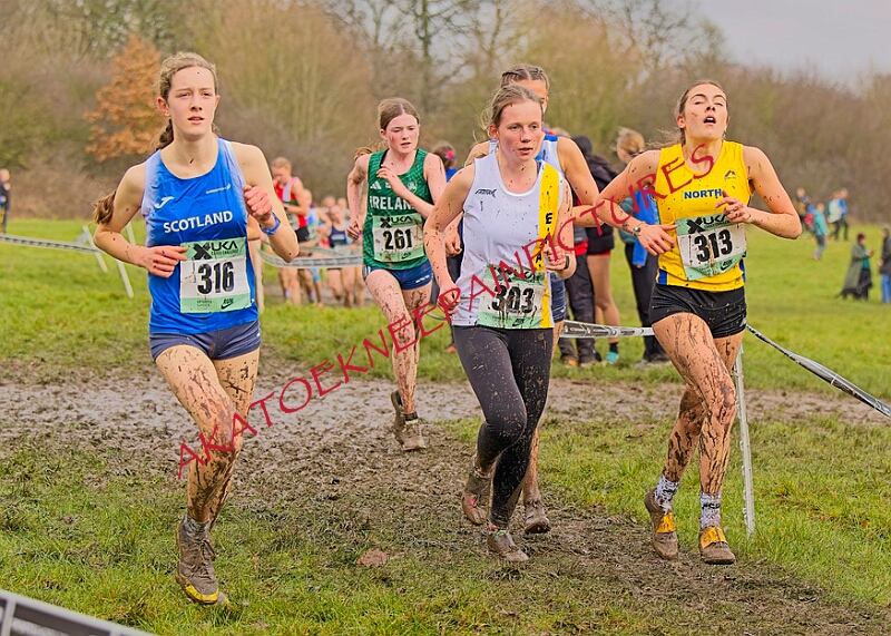 20260207 LONC XC00952A.JPG