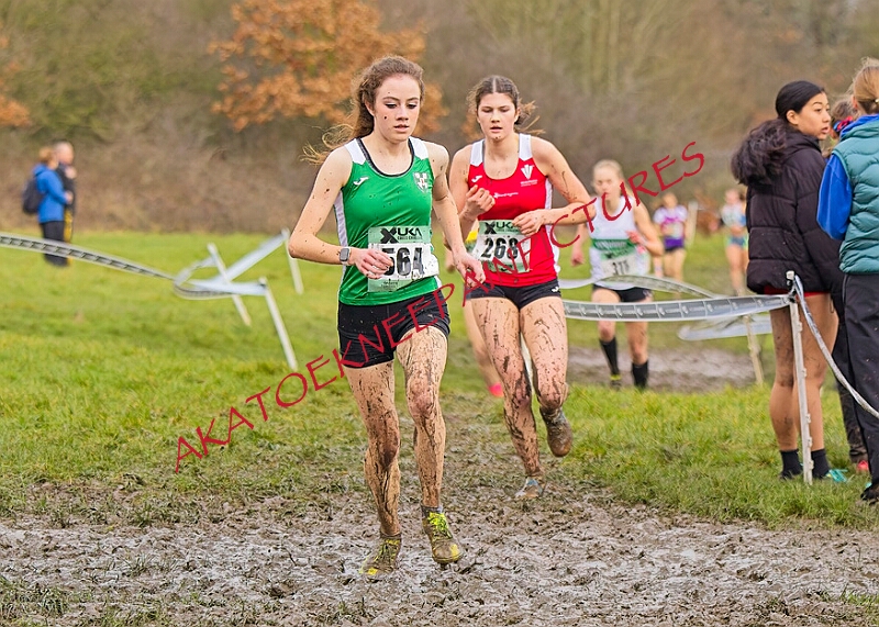 20260207 LONC XC00978A.JPG