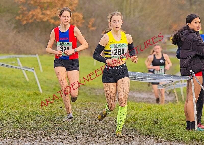 20260207 LONC XC00988A.JPG