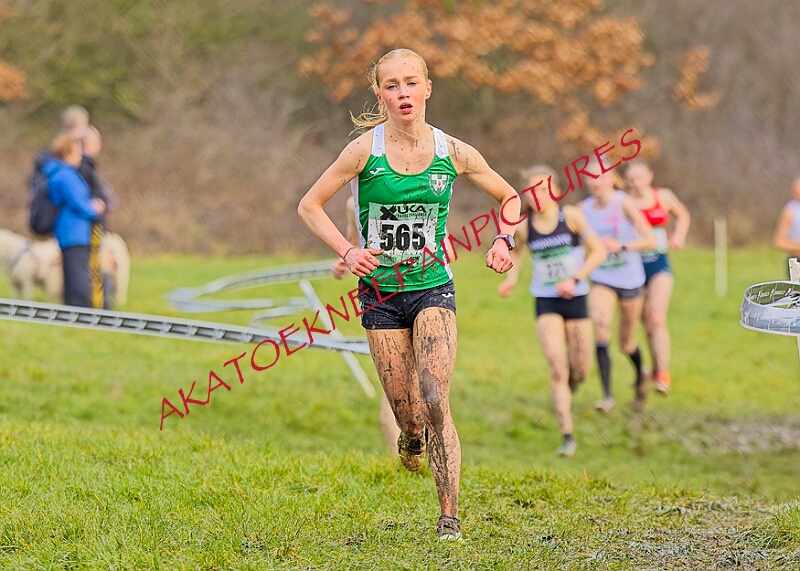 20260207 LONC XC01003A.JPG