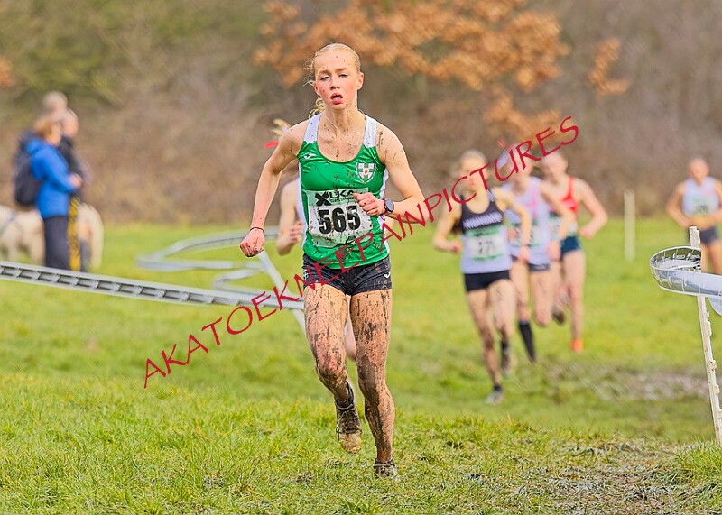 20260207 LONC XC01004A.JPG