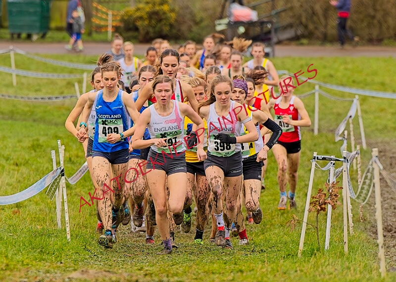 20260207 LONC XC01226A.JPG