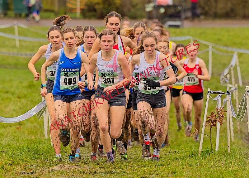 20260207 LONC XC01228A.JPG