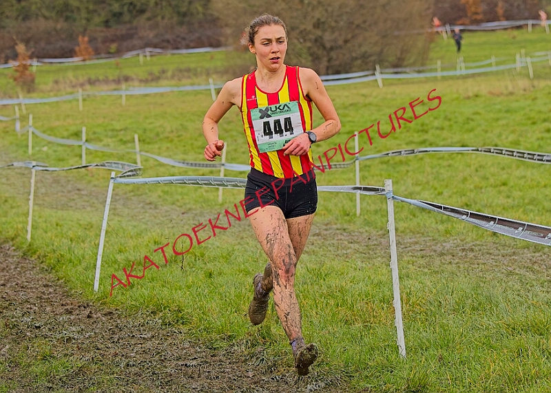 20260207 LONC XC01355A.JPG