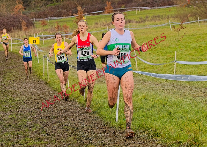 20260207 LONC XC01360A.JPG