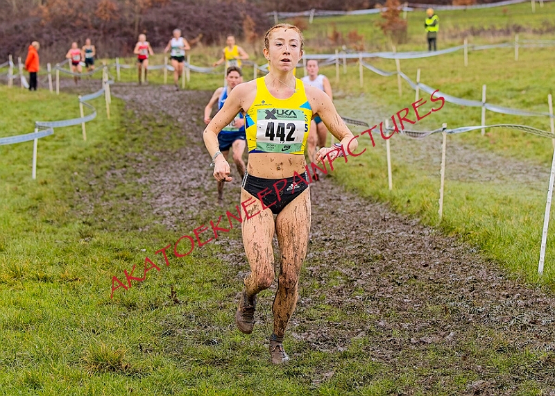 20260207 LONC XC01392A.JPG