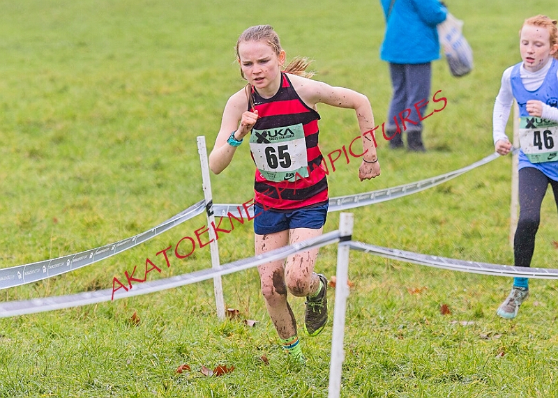 20260207 LONC XC00116A.JPG