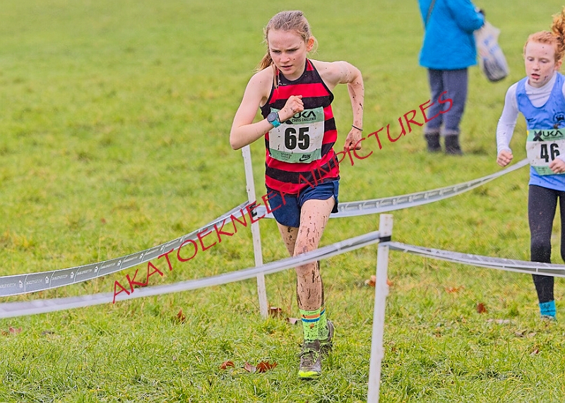 20260207 LONC XC00117A.JPG