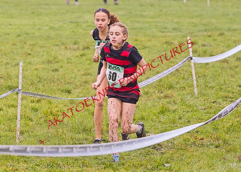 20260207 LONC XC00124A.JPG