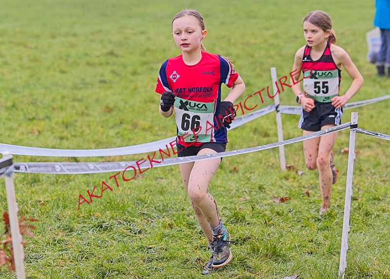 20260207 LONC XC00129A.JPG