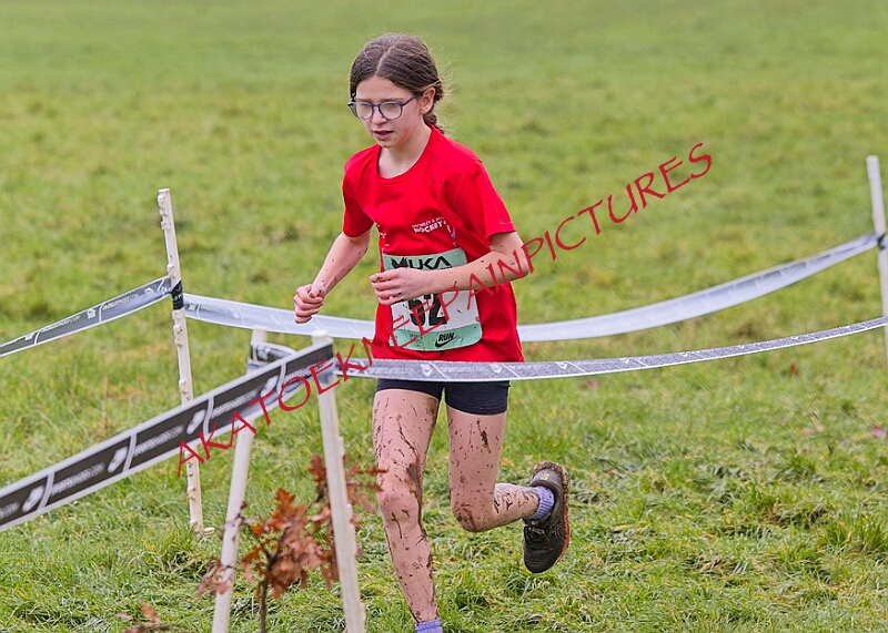 20260207 LONC XC00137A.JPG