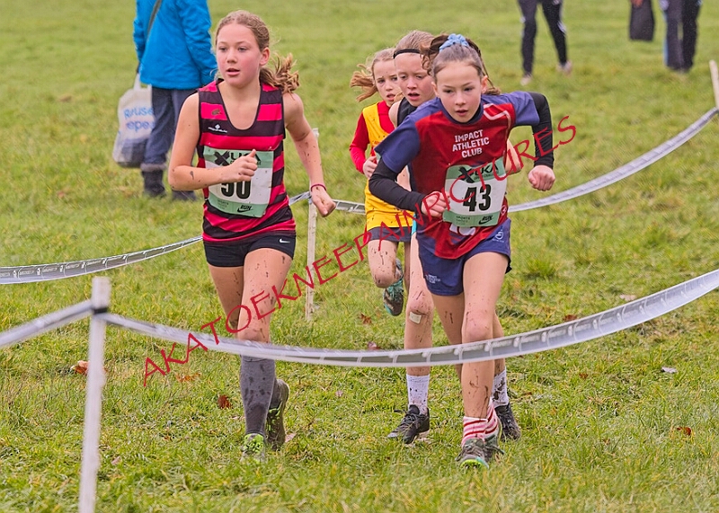 20260207 LONC XC00144A.JPG