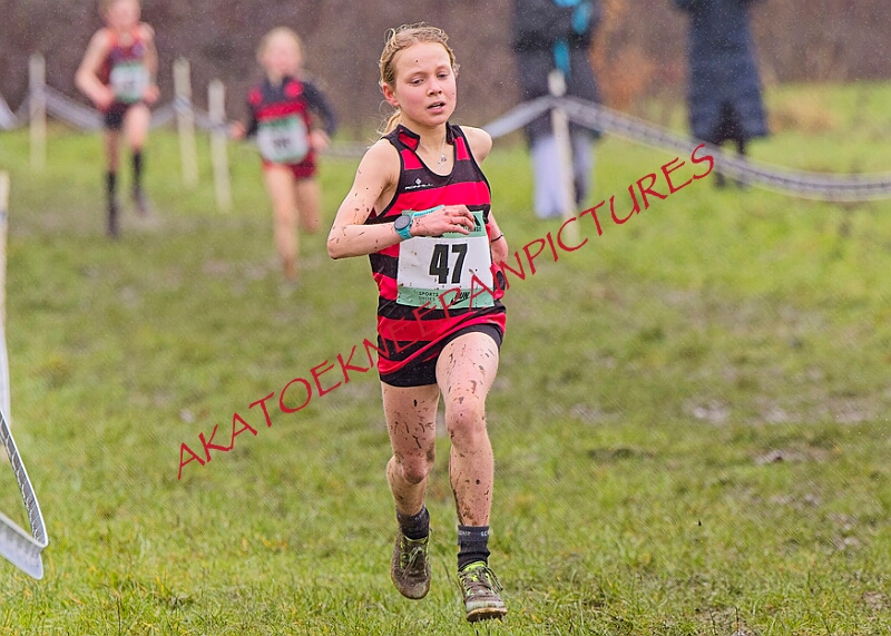 20260207 LONC XC00166A.JPG