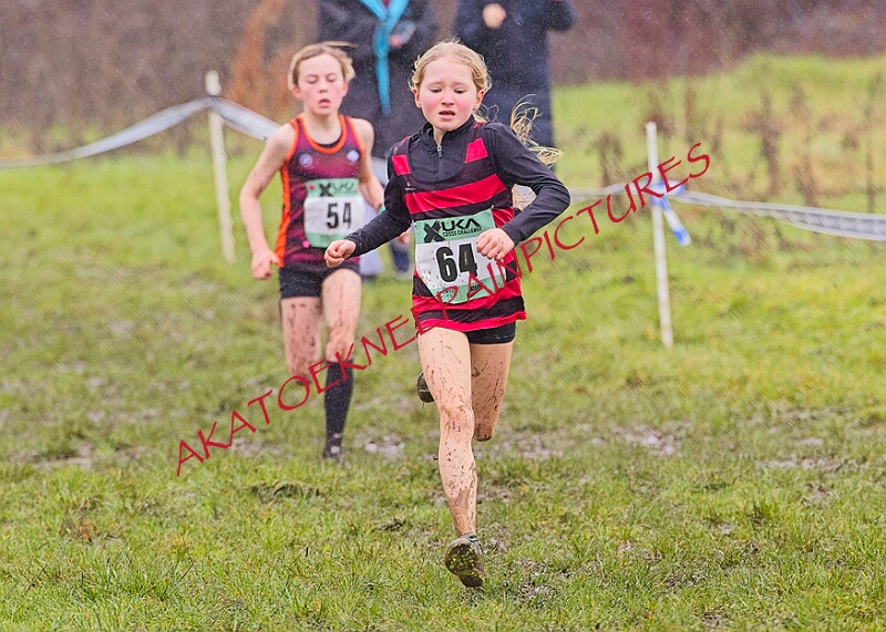 20260207 LONC XC00167A.JPG