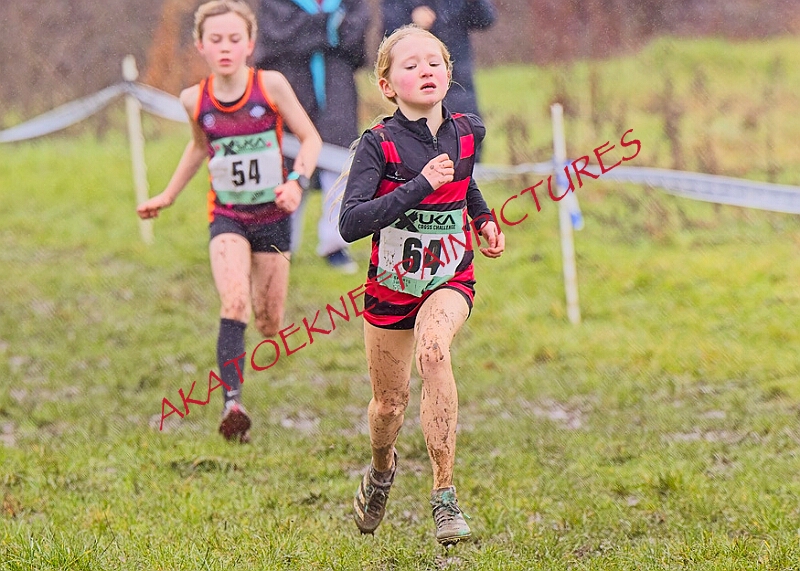 20260207 LONC XC00169A.JPG