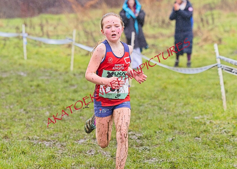 20260207 LONC XC00174A.JPG