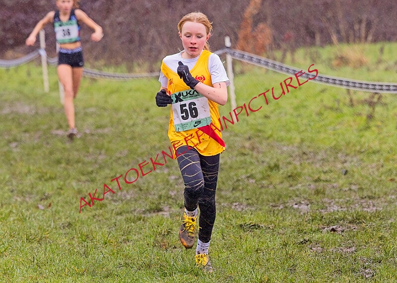 20260207 LONC XC00192A.JPG