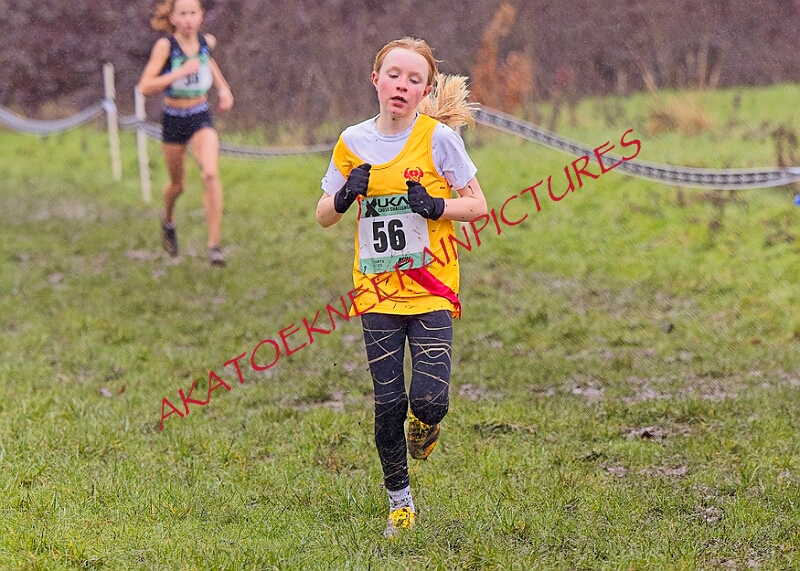 20260207 LONC XC00194A.JPG