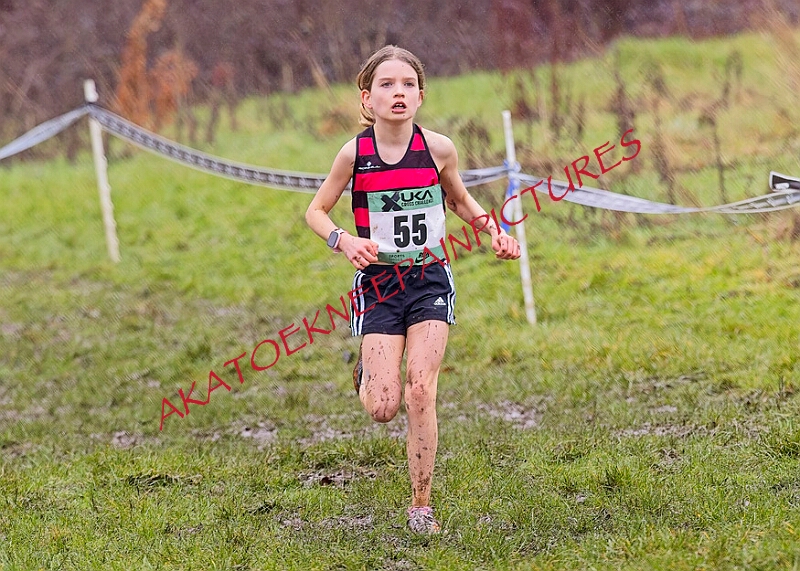 20260207 LONC XC00200A.JPG