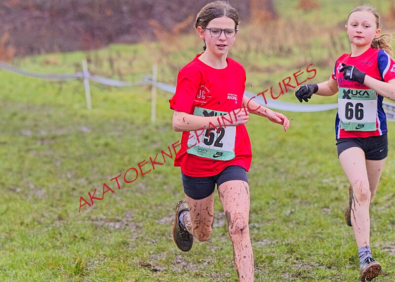 20260207 LONC XC00208A.JPG