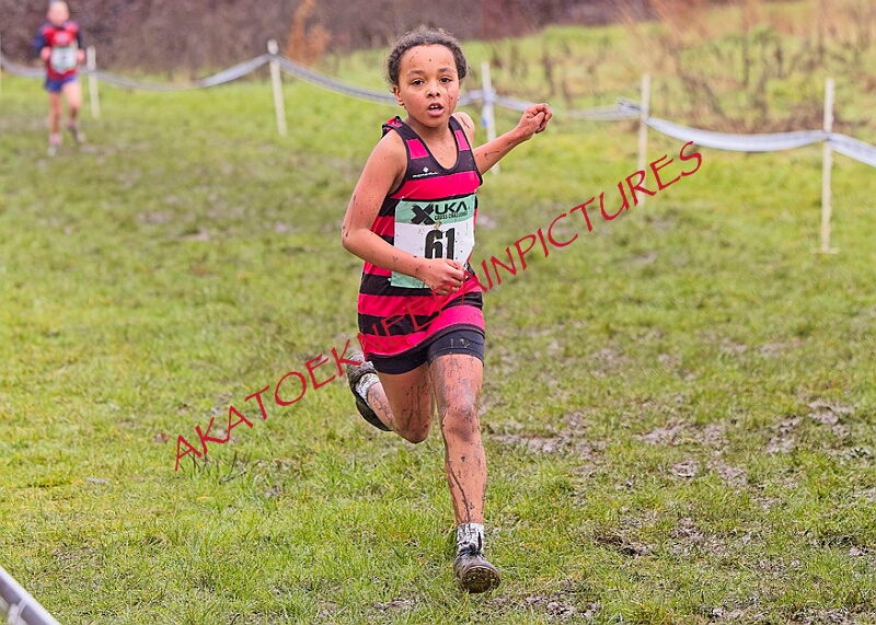 20260207 LONC XC00210A.JPG