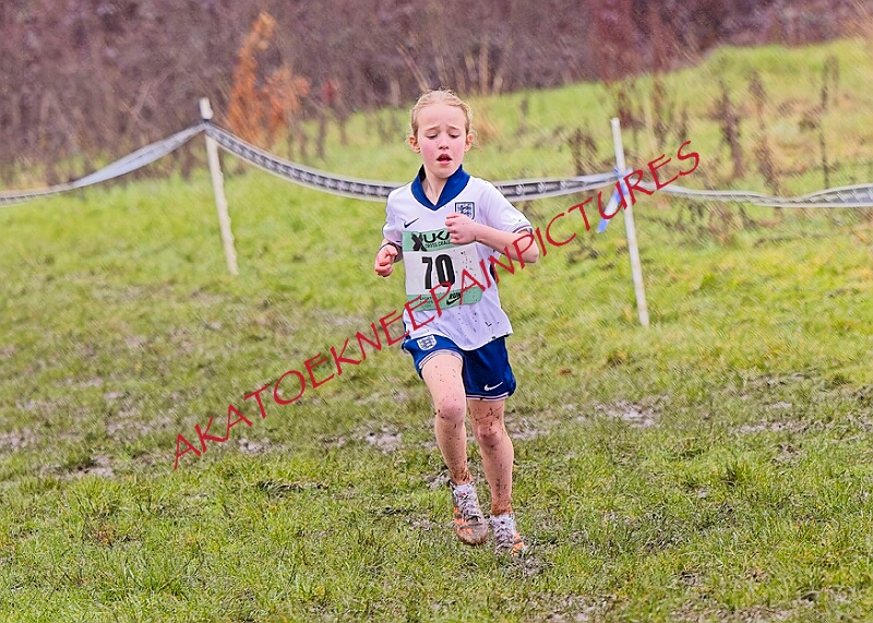 20260207 LONC XC00221A.JPG