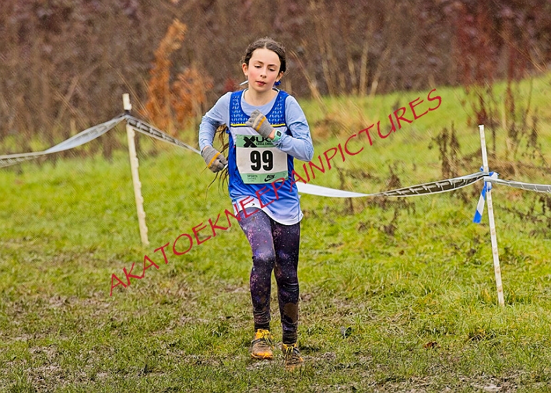 20260207 LONC XC00351A.JPG