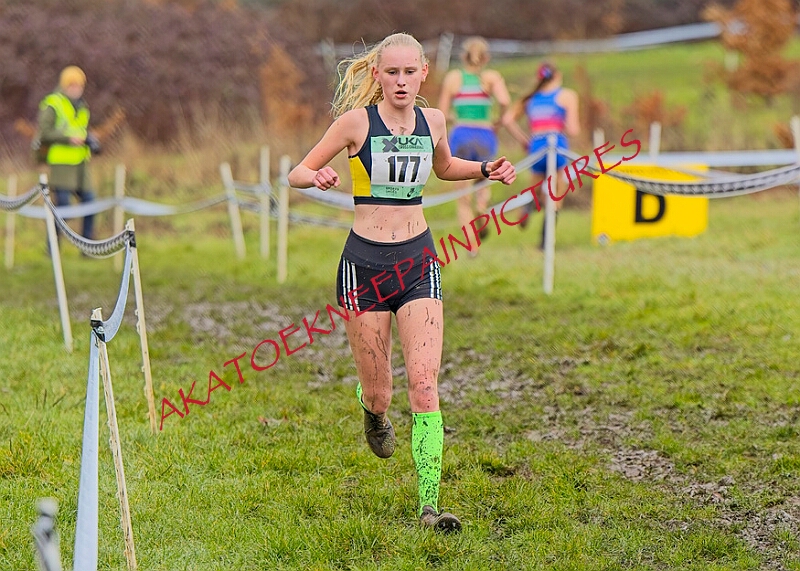 20260207 LONC XC00665A.JPG