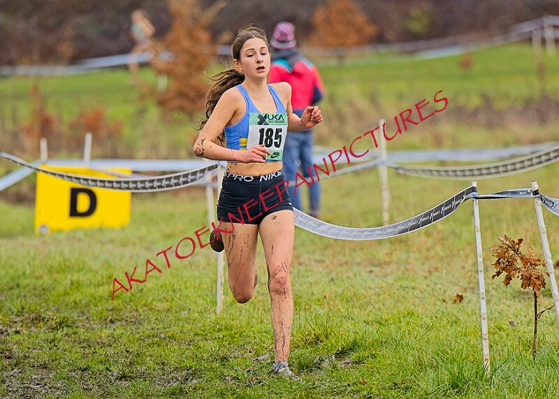 20260207 LONC XC00678A.JPG