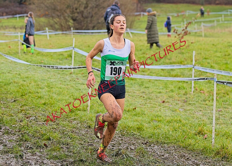 20260207 LONC XC00691A.JPG