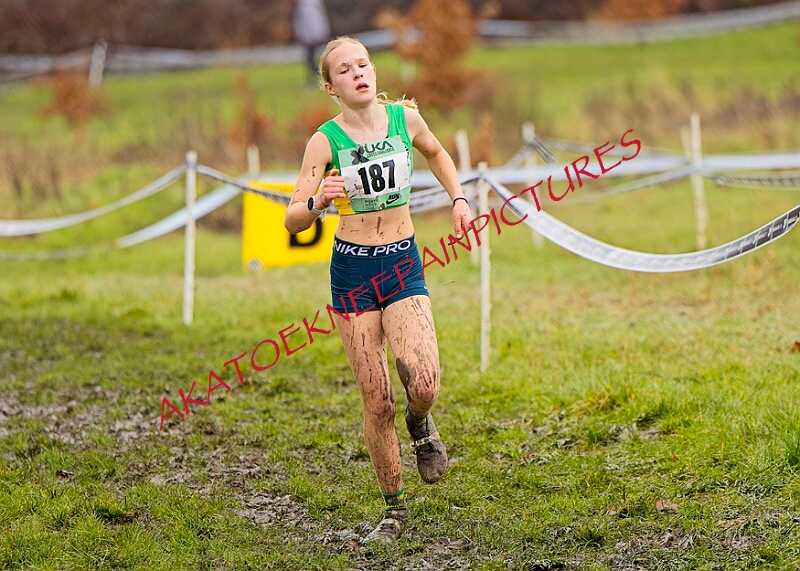 20260207 LONC XC00706A.JPG