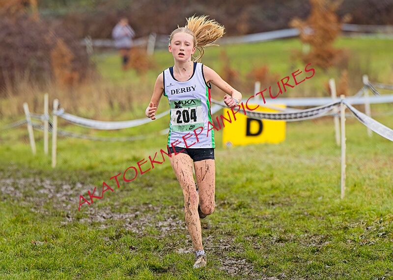 20260207 LONC XC00709A.JPG