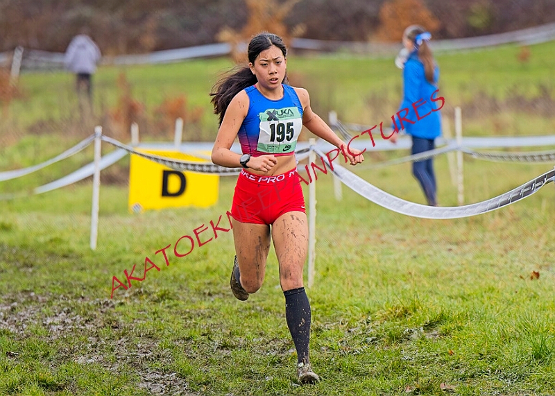 20260207 LONC XC00711A.JPG