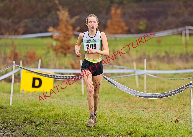 20260207 LONC XC00721A.JPG