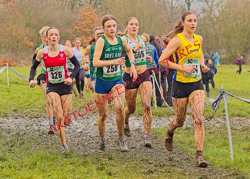 20260207 LONC XC00882A.JPG