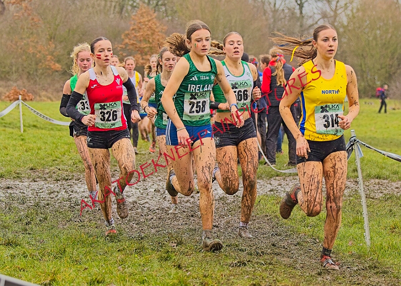 20260207 LONC XC00883A.JPG