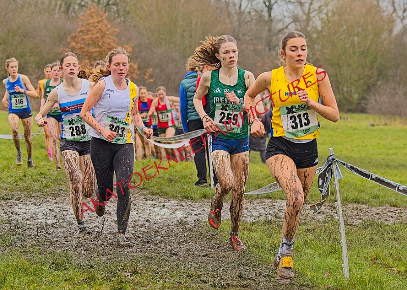 20260207 LONC XC00885A.JPG