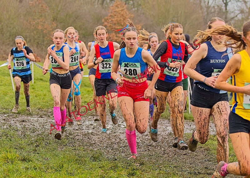 20260207 LONC XC00890A.JPG