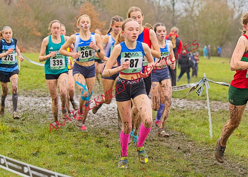 20260207 LONC XC00891A.JPG