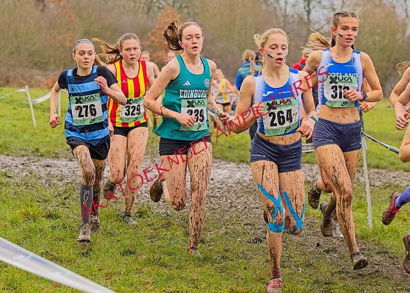 20260207 LONC XC00893A.JPG