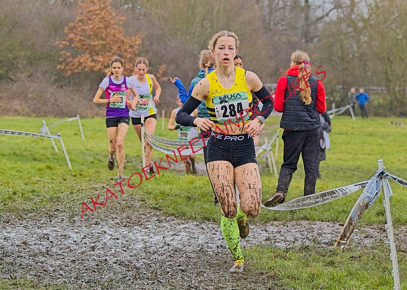 20260207 LONC XC00910A.JPG