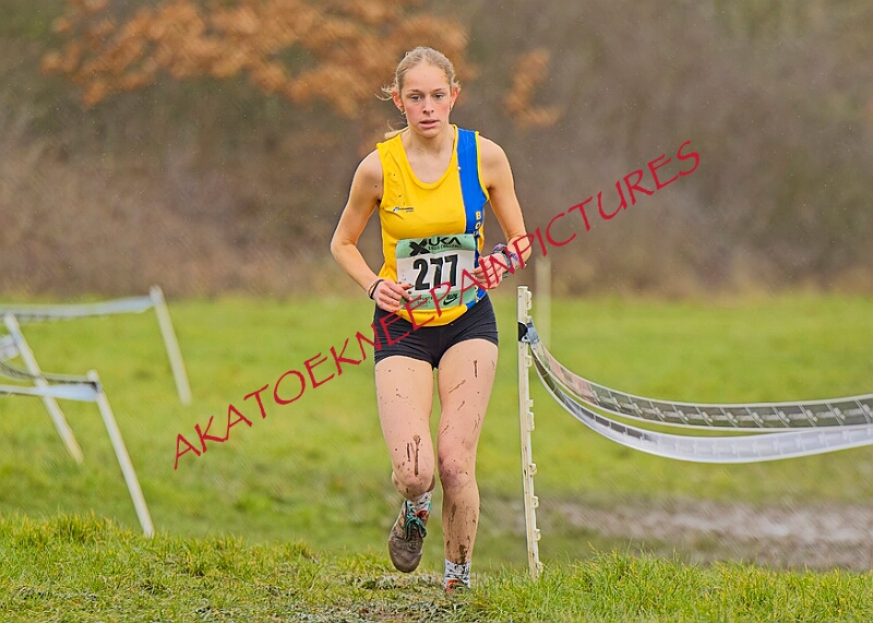 20260207 LONC XC00924A.JPG