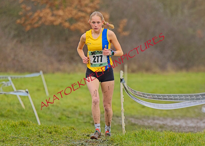 20260207 LONC XC00925A.JPG