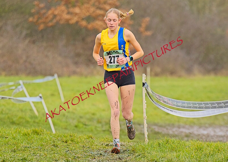 20260207 LONC XC00926A.JPG