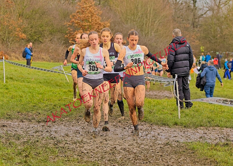 20260207 LONC XC00930A.JPG