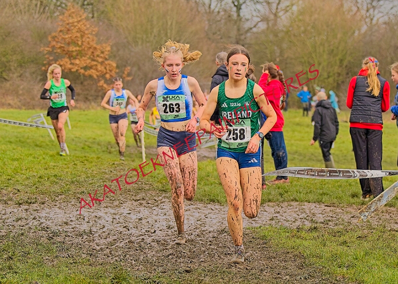 20260207 LONC XC00939A.JPG