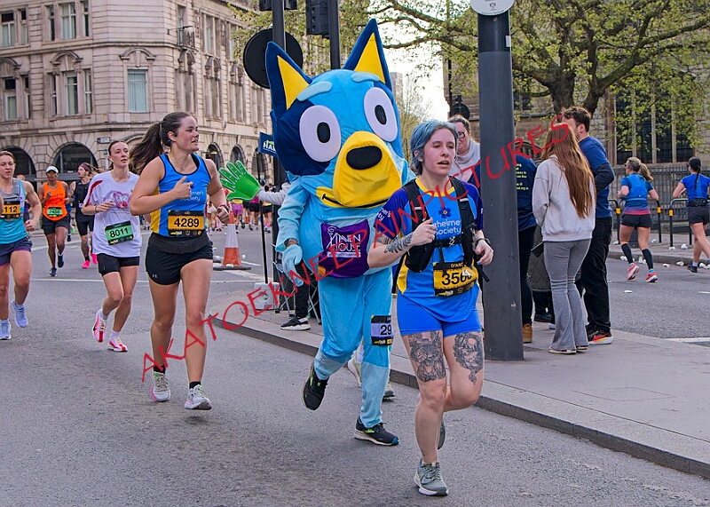 20260412 LONDLMHALF00234A.JPG