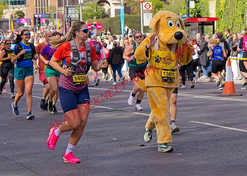 20260412 LONDLMHALF00502A.JPG