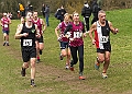 20230108ANXCB-697A